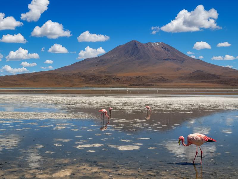 3-Day Uyuni Salt Flat Tour Ending in San Pedro de Atacama