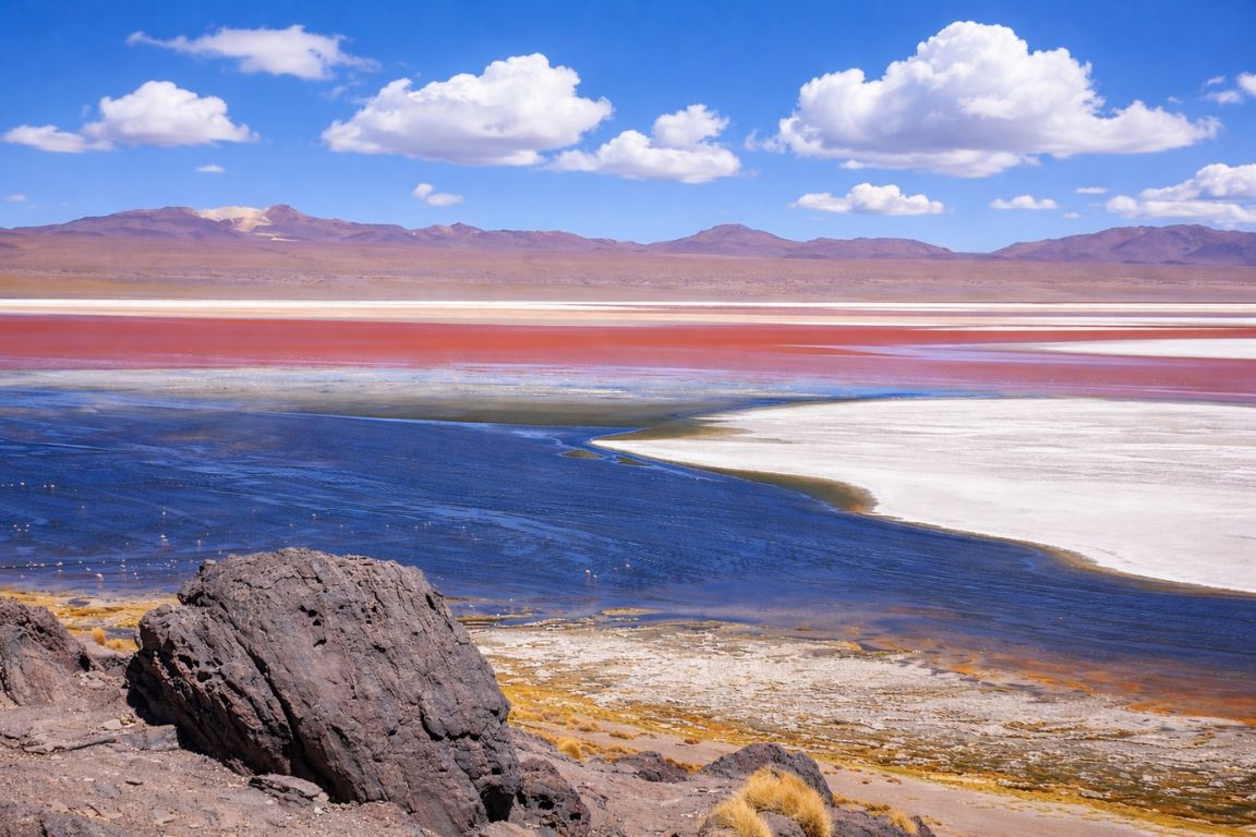 Laguna Colorada in Bolivia featuring striking red water and desert surroundings under blue sky, captured on a tour with Salar de Uyuni Tours